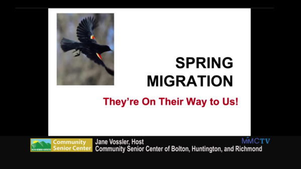 VT Spring Migratory Birds