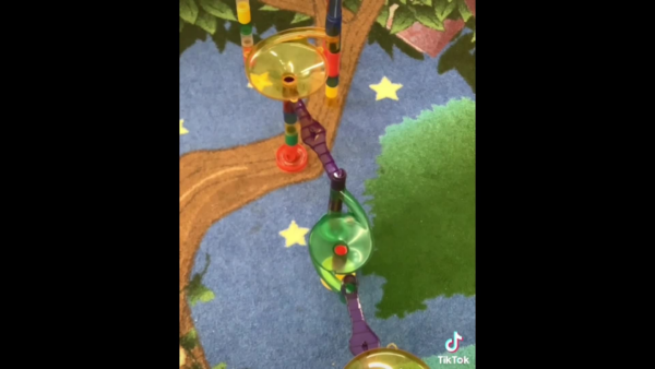 Cavendish Library Shorts- Marble Racing