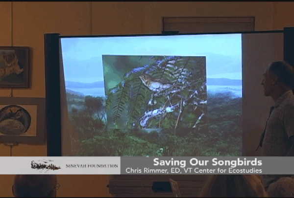 Saving Our Songbirds