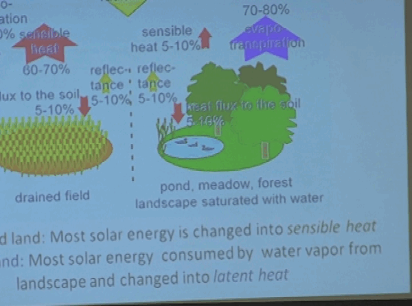 Stormwater Presentation in Ludlow