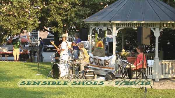 Sensible Shoes on Proctorsville Green