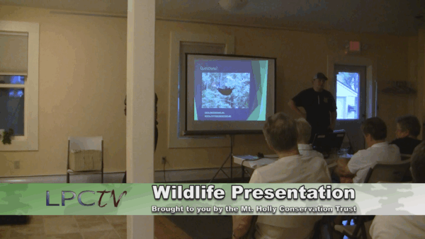 Wildlife Habitats In Your Backyard