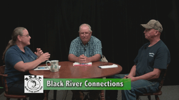 Black River Connections- Bacteria