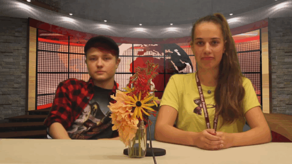 BRTV