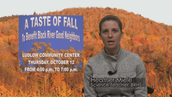 Taste of Fall promo 2017