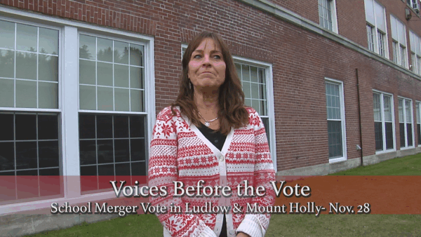 Voices Before the Vote