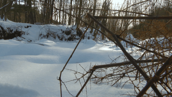 Okemo Valley TV Membership Promo 2018
