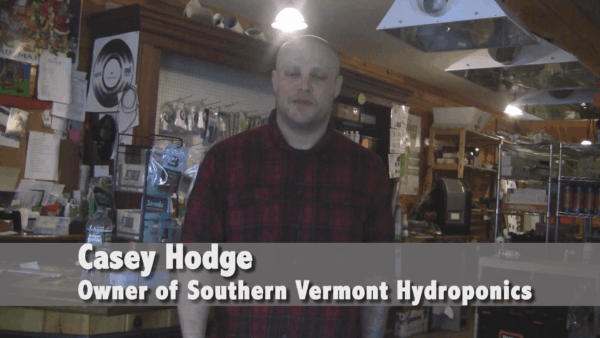 Hydroponics Workshop Promo