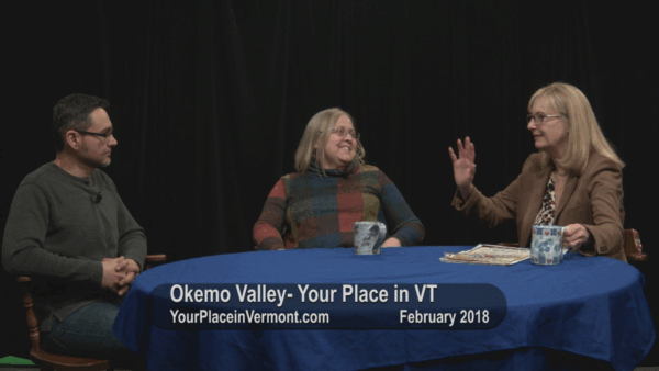 Okemo Valley- Your Place in VT