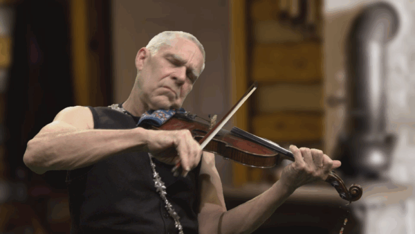 John Specker- Flop Eared Mule