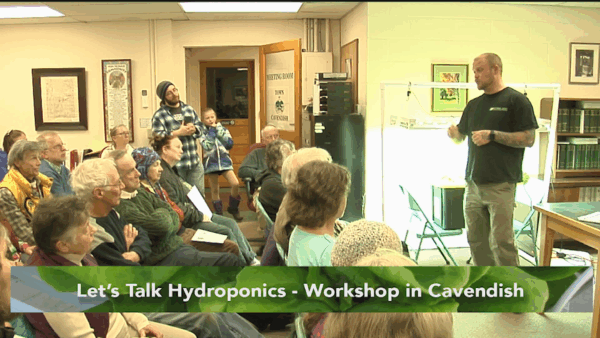 Let’s Talk Hydroponics
