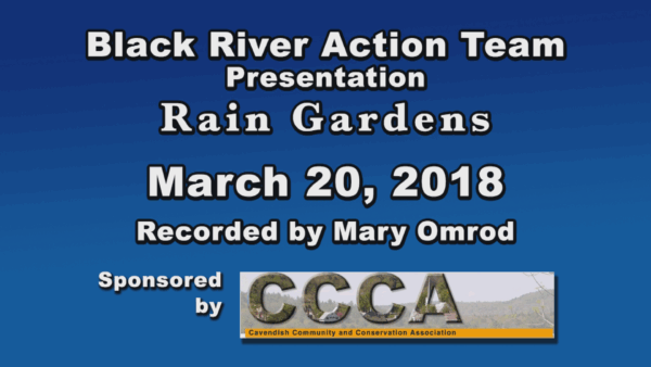 BRAT Presentation on Rain Gardens