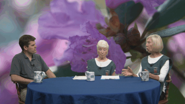 Ludlow Garden Club