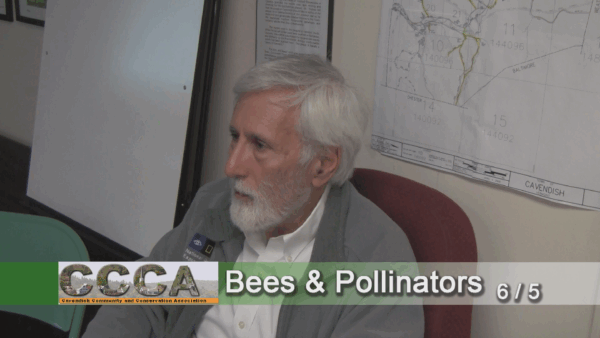 Cavendish Energy Workshop- Bees & Pollinators