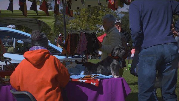 Ludlow Harvest Fair Promo