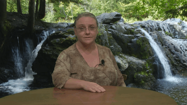 Black River Connections- Bio Blitz