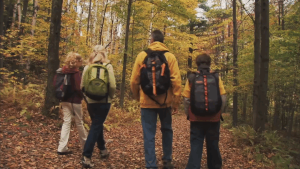 VT Dept. of Tourism- Benchmark Study promo