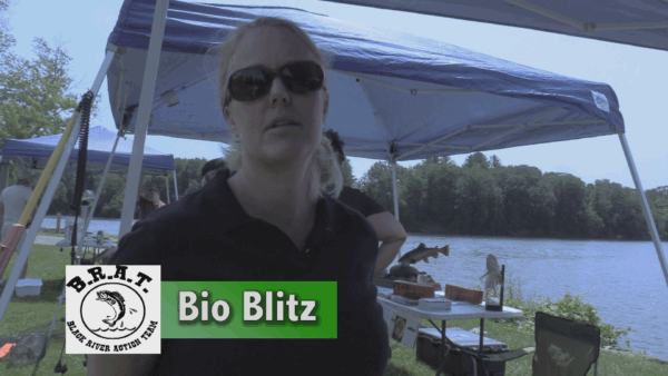 Black River Connections- Bio Blitz