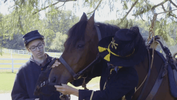 Stuck in Vermont- Cavalry Day