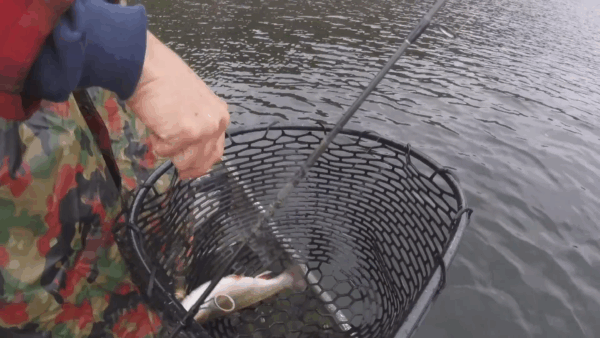 Vermont Master Anglers- Catching Fall Brook Trout