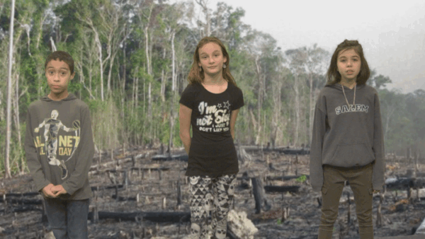 LES 6th Grade PSA- Deforestation