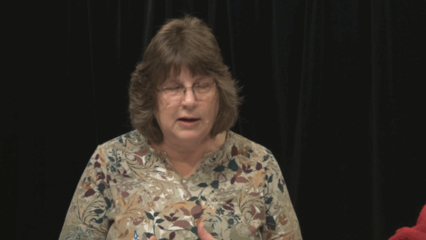 GMUSD & LMUUSD School Districts Budgets