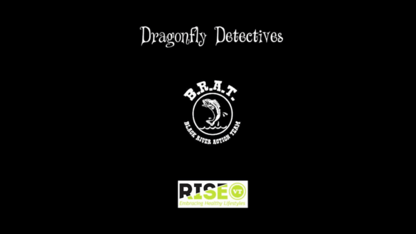 Black River Action Team- Dragonfly Detectives