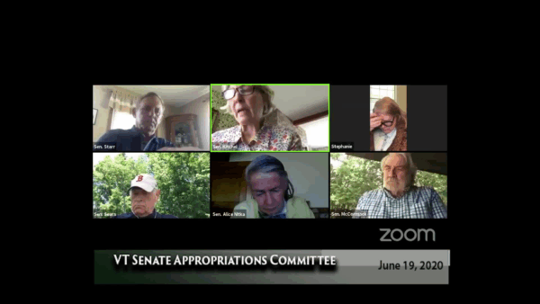 VT Senate Appropriations Cmte. 6/16