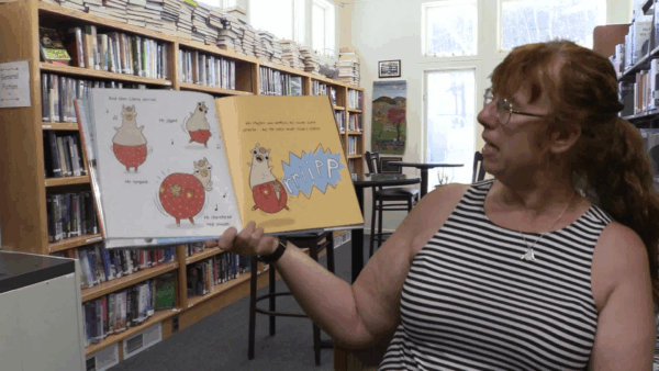 Cavendish Library Story Time- Llama Destroys the World
