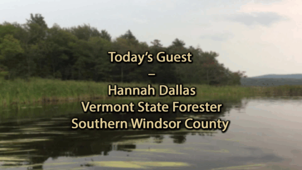Conservation Chats- Forest Stewardship