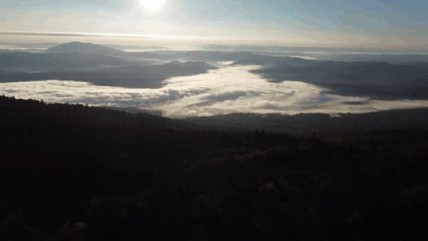 Foggy Morning in Ludlow
