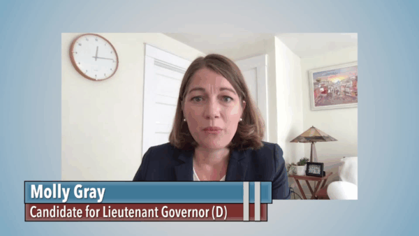 Meet the Candidates- Molly Gray Lt. Governor