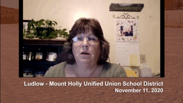 Ludlow-Mt. Holly Unified School District 11/11