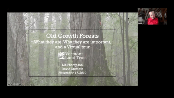 Vermont Land Trust- Old Growth Forests