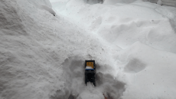 Blizzard 2020