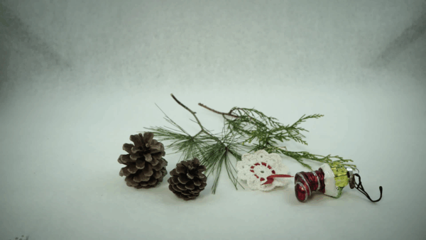 Plastic Free Gift Wrapping PSA