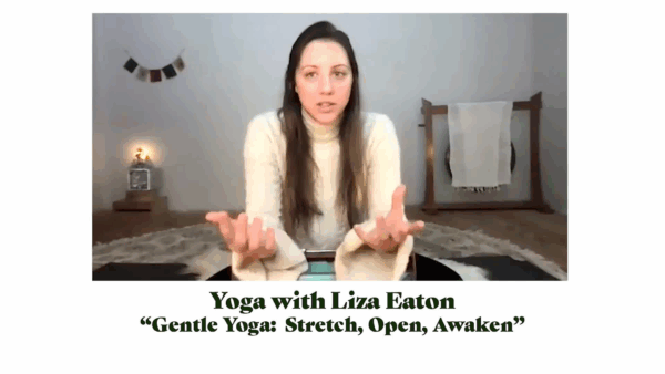 Yoga with Liza- Gentle Yoga Open Awaken
