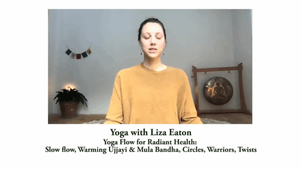 Yoga with Liza- Flow for Radiant Health