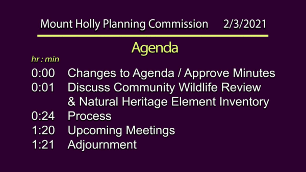 Mount Holly Planning Commission 2/3