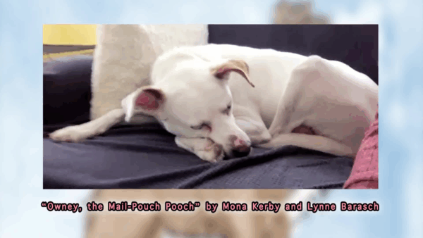 Story Time- Owney the Mail-Pouch Pooch