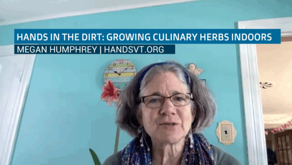 Growing Culinary Herbs Indoors- Charlie Nardozzi