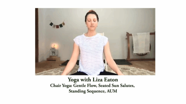 Yoga with Liza- Chair Yoga & Gentle Flow