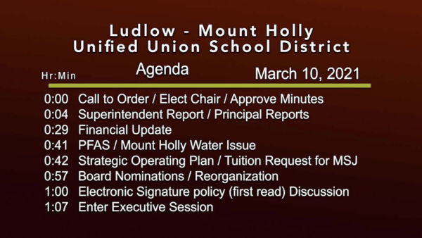 Ludlow-Mount Holly Unified Union School District 3/10