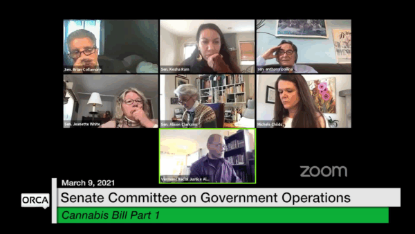 VT Senate Gov. Operations- Cannabis Bill (pt. 1)