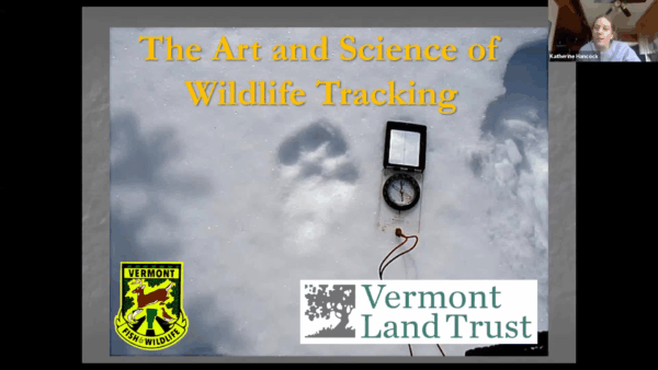 Wildlife Tracking Tour Through Winter Woods