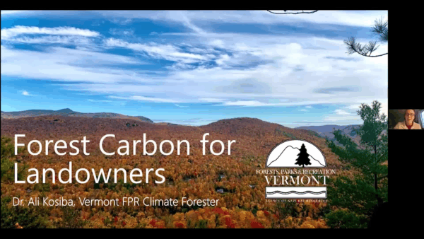 Green Drinks- Forest Carbon for Landowners