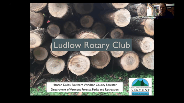 Rotary Club Guest Speaker- Emerald Ash Borer