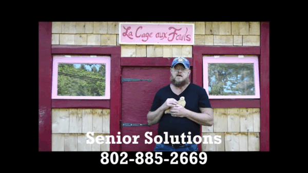 Senior Solutions 3 Squares VT PSA- Baby Chick