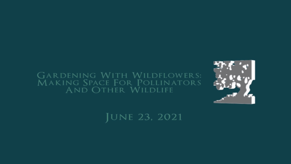 VT Land Trust- Gardening with Wildflowers