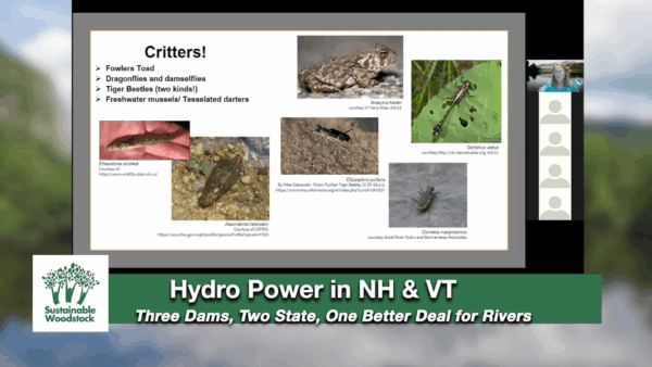 Hydropower Dams in NH & VT